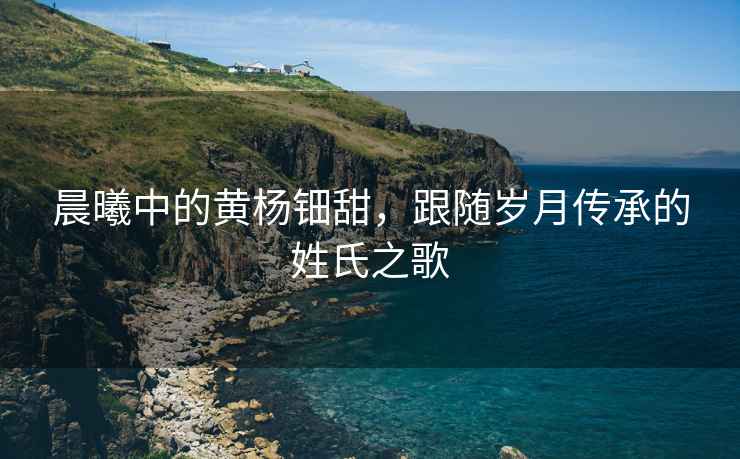 晨曦中的黃楊鈿甜，跟隨歲月傳承的姓氏之歌