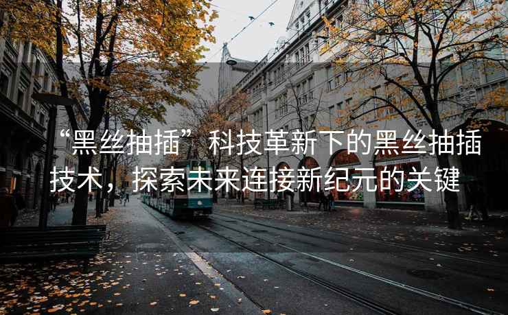 “黑絲抽插”科技革新下的黑絲抽插技術(shù)，探索未來(lái)連接新紀元的關(guān)鍵