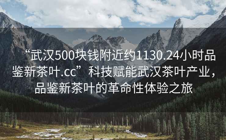 “武漢500塊錢(qián)附近約1130.24小時(shí)品鑒新茶葉.cc”科技賦能武漢茶葉產(chǎn)業(yè)，品鑒新茶葉的革命性體驗之旅