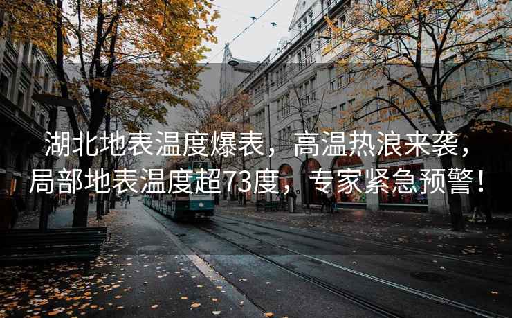 湖北地表溫度爆表，高溫熱浪來(lái)襲，局部地表溫度超73度，專(zhuān)家緊急預警！