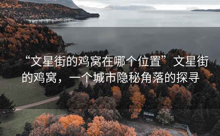 “文星街的雞窩在哪個(gè)位置”文星街的雞窩，一個(gè)城市隱秘角落的探尋