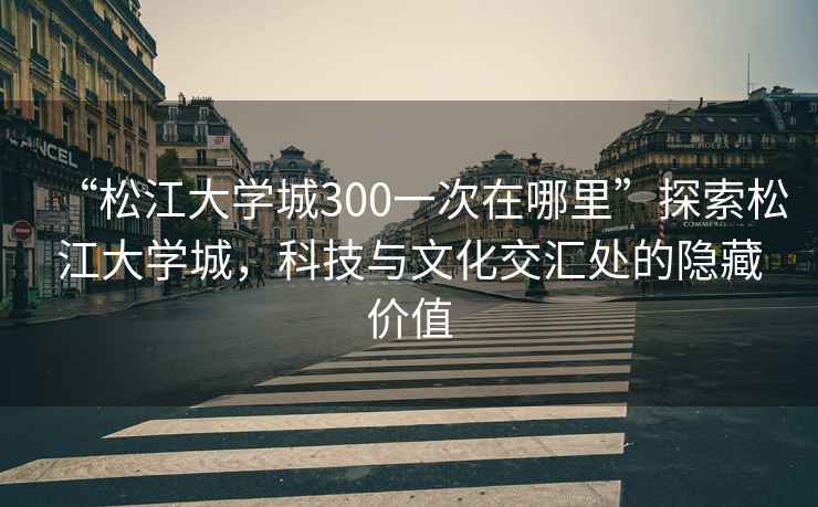 “松江大學(xué)城300一次在哪里”探索松江大學(xué)城，科技與文化交匯處的隱藏價(jià)值