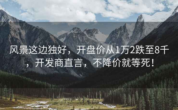 風(fēng)景這邊獨好，開(kāi)盤(pán)價(jià)從1萬(wàn)2跌至8千，開(kāi)發(fā)商直言，不降價(jià)就等死！