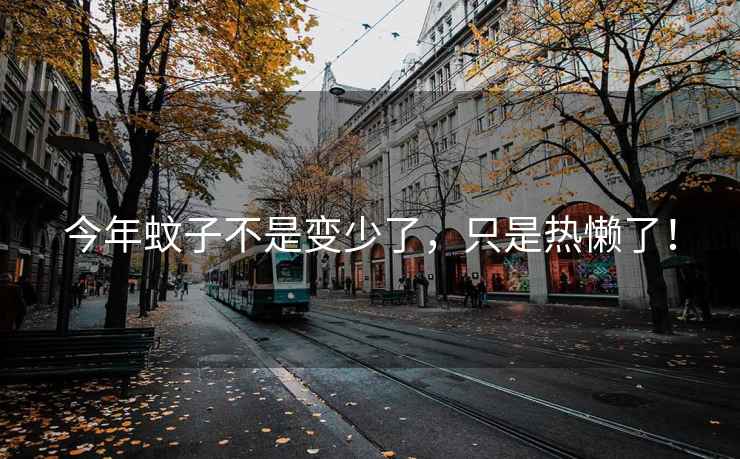 今年蚊子不是變少了，只是熱懶了！