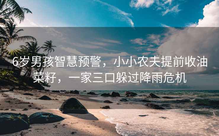 6歲男孩智慧預警，小小農夫提前收油菜籽，一家三口躲過(guò)降雨危機