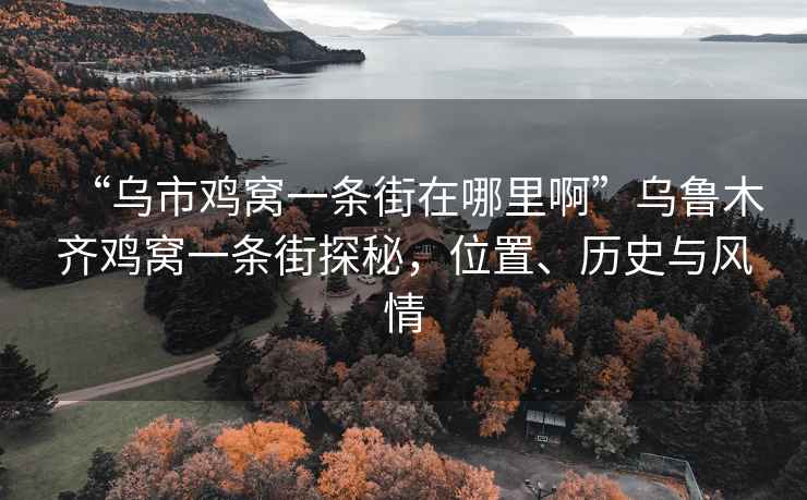 “烏市雞窩一條街在哪里啊”烏魯木齊雞窩一條街探秘，位置、歷史與風(fēng)情
