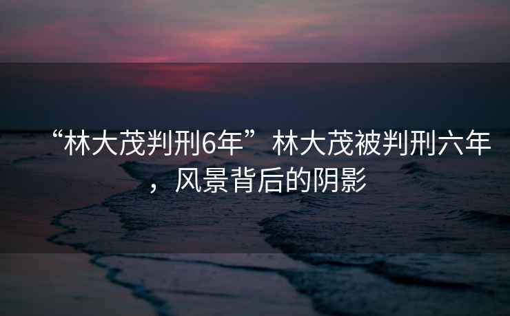 “林大茂判刑6年”林大茂被判刑六年，風(fēng)景背后的陰影