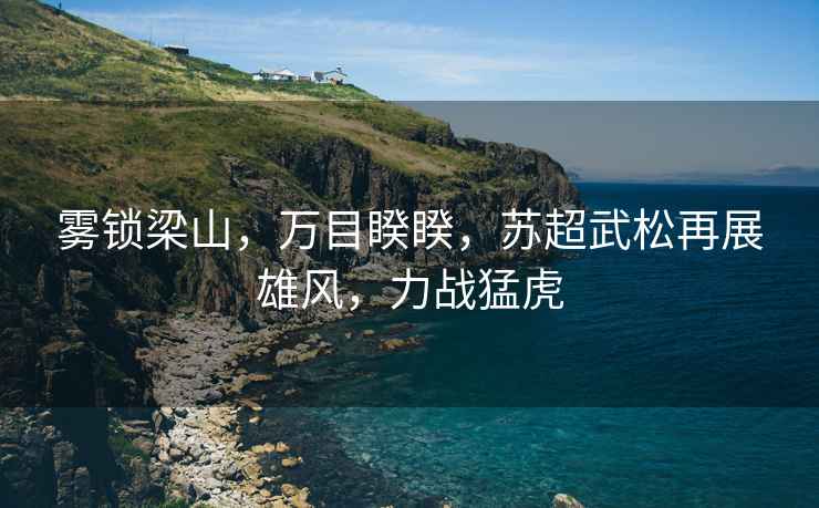 霧鎖梁山，萬(wàn)目睽睽，蘇超武松再展雄風(fēng)，力戰猛虎
