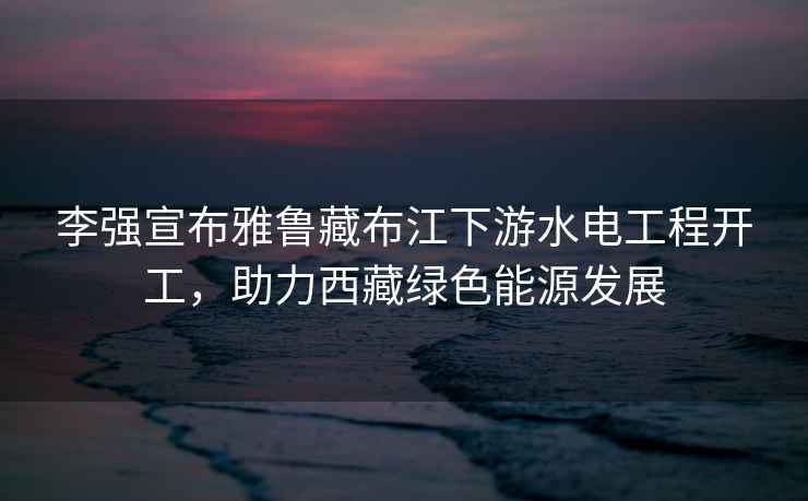 李強宣布雅魯藏布江下游水電工程開(kāi)工，助力西藏綠色能源發(fā)展