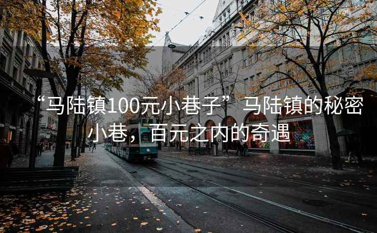 “馬陸鎮100元小巷子”馬陸鎮的秘密小巷，百元之內的奇遇