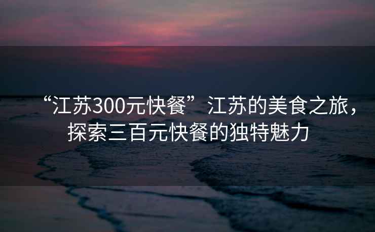 “江蘇300元快餐”江蘇的美食之旅，探索三百元快餐的獨特魅力