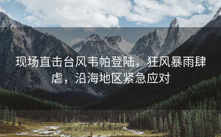 現場(chǎng)直擊臺風(fēng)韋帕登陸，狂風(fēng)暴雨肆虐，沿海地區緊急應對