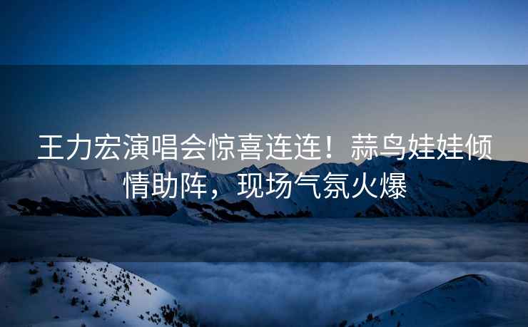王力宏演唱會(huì )驚喜連連！蒜鳥(niǎo)娃娃傾情助陣，現場(chǎng)氣氛火爆