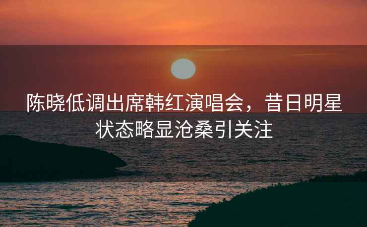 陳曉低調出席韓紅演唱會(huì )，昔日明星狀態(tài)略顯滄桑引關(guān)注