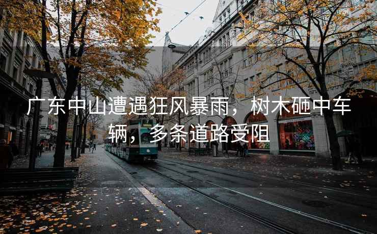 廣東中山遭遇狂風(fēng)暴雨，樹(shù)木砸中車(chē)輛，多條道路受阻