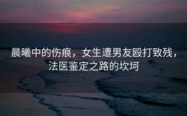 晨曦中的傷痕，女生遭男友毆打致殘，法醫鑒定之路的坎坷