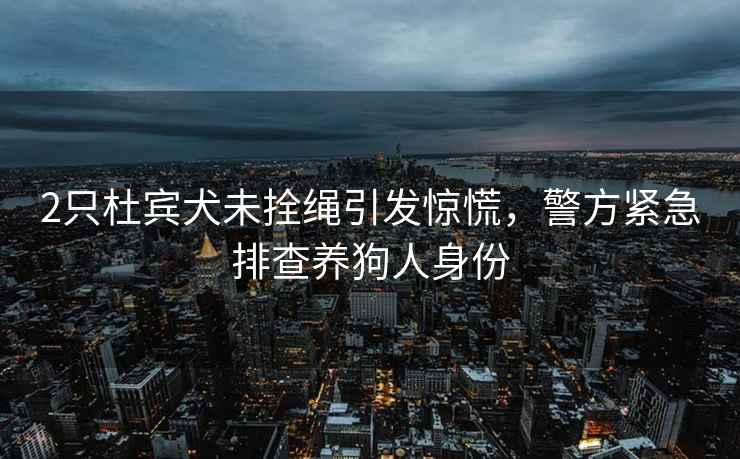 2只杜賓犬未拴繩引發(fā)驚慌，警方緊急排查養狗人身份