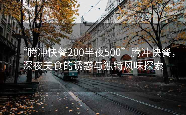 “騰沖快餐200半夜500”騰沖快餐，深夜美食的誘惑與獨特風(fēng)味探索