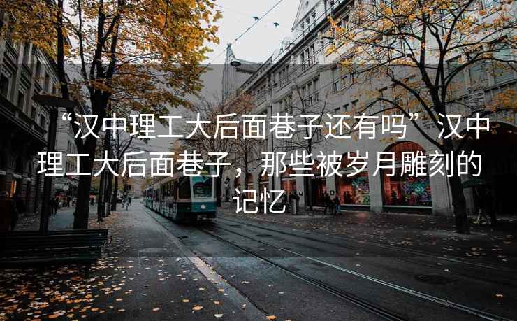 “漢中理工大后面巷子還有嗎”漢中理工大后面巷子，那些被歲月雕刻的記憶