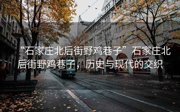 “石家莊北后街野雞巷子”石家莊北后街野雞巷子，歷史與現代的交織