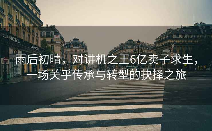 雨后初晴，對講機之王6億賣(mài)子求生，一場(chǎng)關(guān)乎傳承與轉型的抉擇之旅