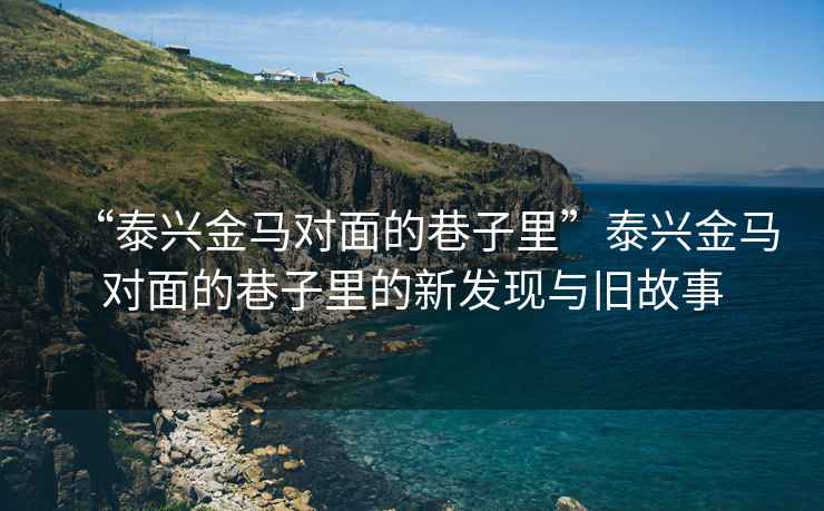 “泰興金馬對面的巷子里”泰興金馬對面的巷子里的新發(fā)現與舊故事