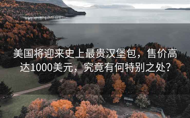 美國將迎來(lái)史上最貴漢堡包，售價(jià)高達1000美元，究竟有何特別之處？