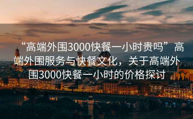 “高端外圍3000快餐一小時(shí)貴嗎”高端外圍服務(wù)與快餐文化，關(guān)于高端外圍3000快餐一小時(shí)的價(jià)格探討
