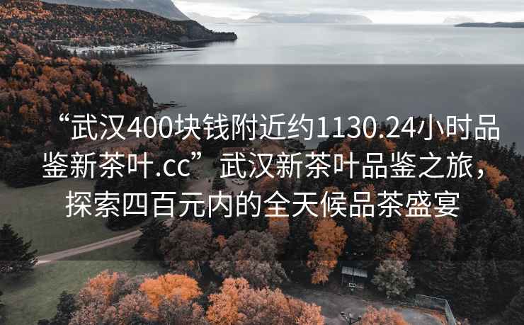 “武漢400塊錢(qián)附近約1130.24小時(shí)品鑒新茶葉.cc”武漢新茶葉品鑒之旅，探索四百元內的全天候品茶盛宴
