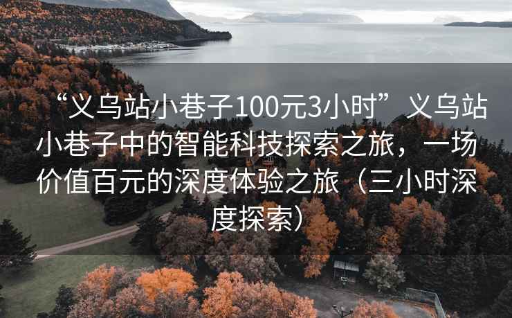 “義烏站小巷子100元3小時(shí)”義烏站小巷子中的智能科技探索之旅，一場(chǎng)價(jià)值百元的深度體驗之旅（三小時(shí)深度探索）