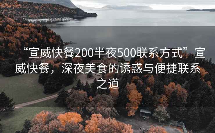 “宣威快餐200半夜500聯(lián)系方式”宣威快餐，深夜美食的誘惑與便捷聯(lián)系之道