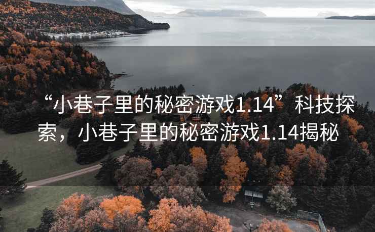 “小巷子里的秘密游戲1.14”科技探索，小巷子里的秘密游戲1.14揭秘