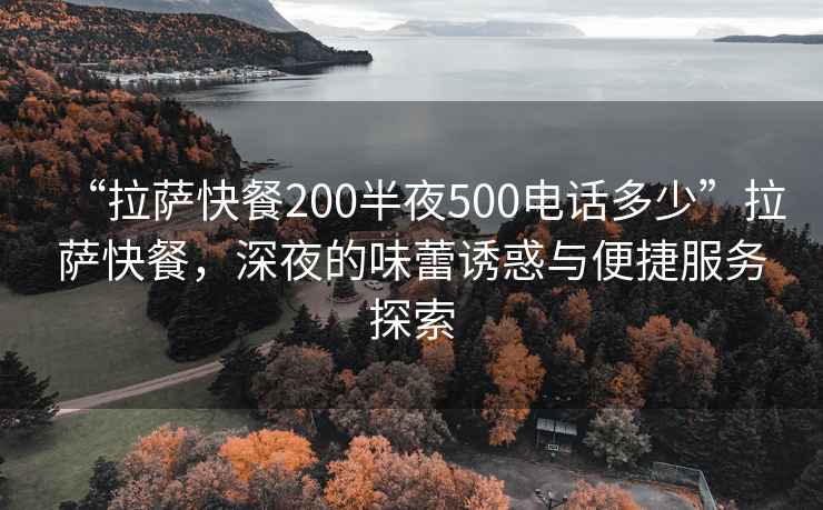 “拉薩快餐200半夜500電話(huà)多少”拉薩快餐，深夜的味蕾誘惑與便捷服務(wù)探索