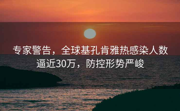 專(zhuān)家警告，全球基孔肯雅熱感染人數逼近30萬(wàn)，防控形勢嚴峻