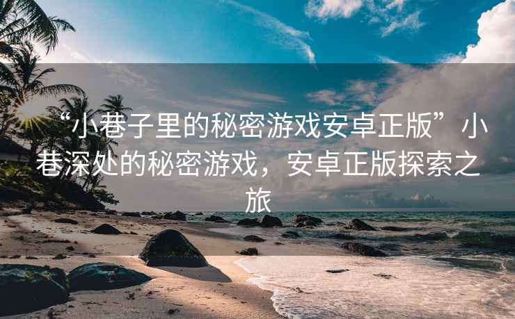 “小巷子里的秘密游戲安卓正版”小巷深處的秘密游戲，安卓正版探索之旅