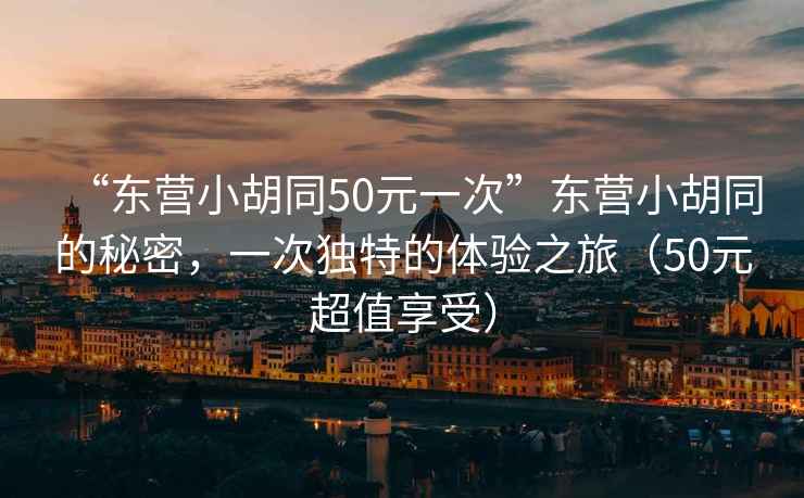 “東營(yíng)小胡同50元一次”東營(yíng)小胡同的秘密，一次獨特的體驗之旅（50元超值享受）