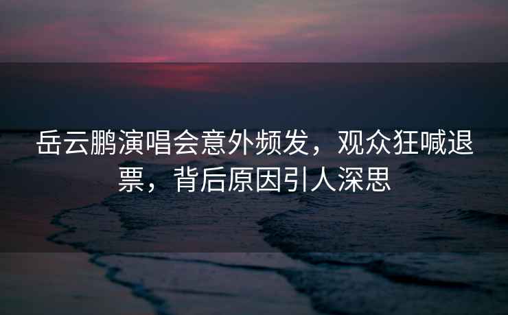 岳云鵬演唱會(huì )意外頻發(fā)，觀(guān)眾狂喊退票，背后原因引人深思