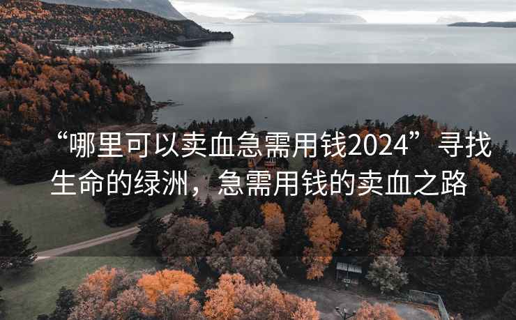 “哪里可以賣(mài)血急需用錢(qián)2024”尋找生命的綠洲，急需用錢(qián)的賣(mài)血之路