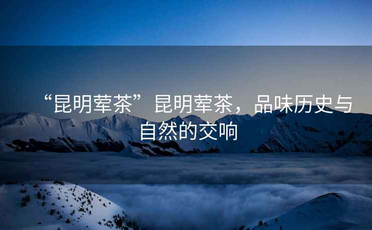 “昆明葷茶”昆明葷茶，品味歷史與自然的交響