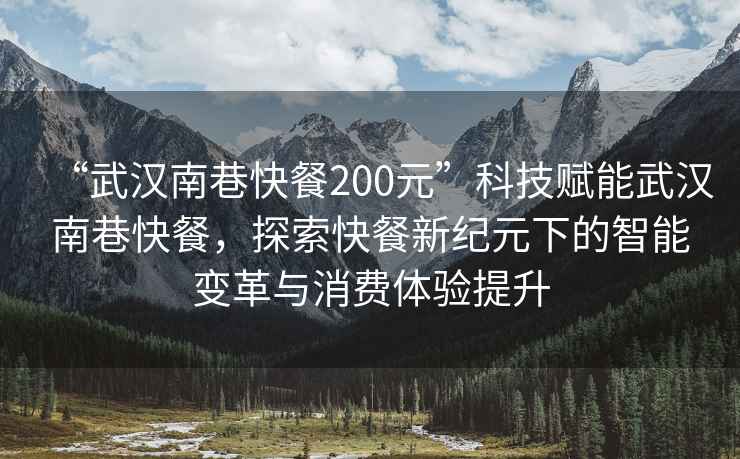 “武漢南巷快餐200元”科技賦能武漢南巷快餐，探索快餐新紀元下的智能變革與消費體驗提升
