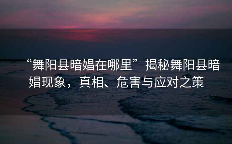 “舞陽(yáng)縣暗娼在哪里”揭秘舞陽(yáng)縣暗娼現象，真相、危害與應對之策