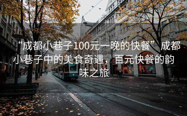 “成都小巷子100元一晚的快餐”成都小巷子中的美食奇遇，百元快餐的韻味之旅