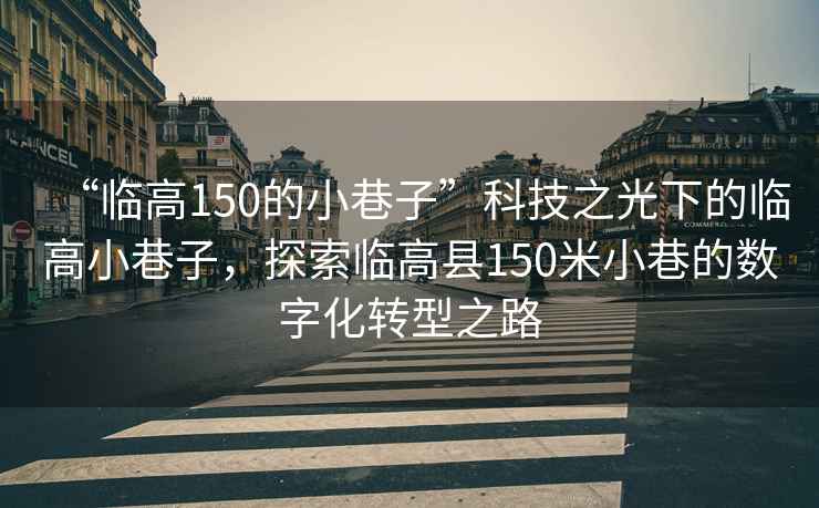 “臨高150的小巷子”科技之光下的臨高小巷子，探索臨高縣150米小巷的數字化轉型之路
