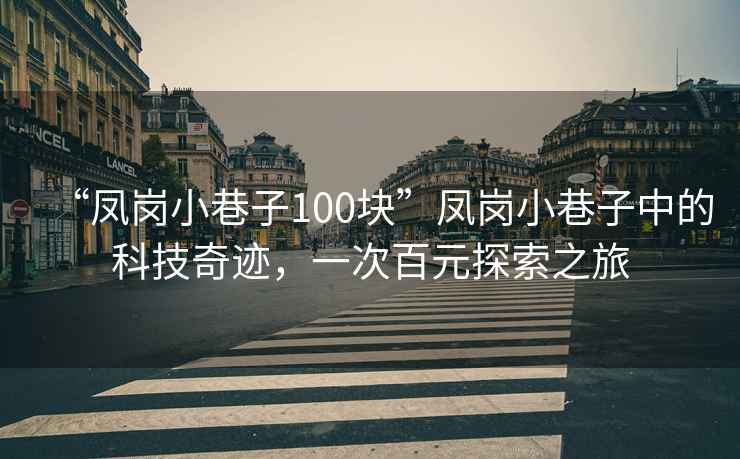 “鳳崗小巷子100塊”鳳崗小巷子中的科技奇跡，一次百元探索之旅