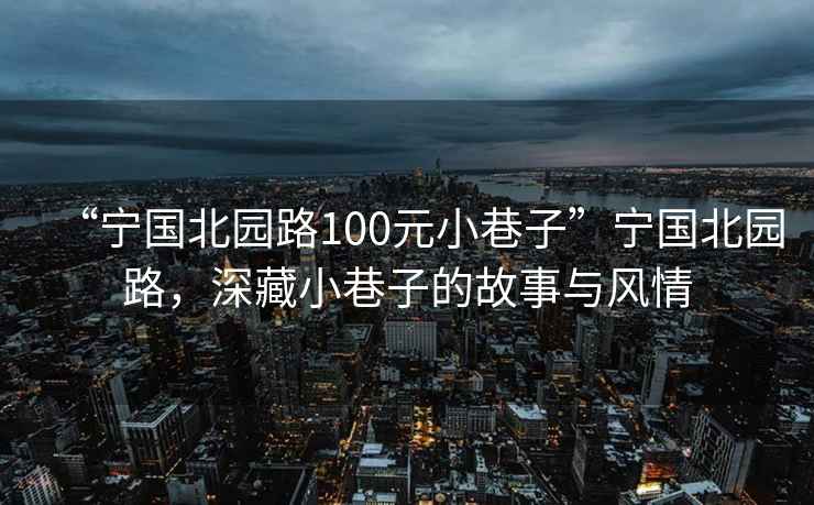 “寧國北園路100元小巷子”寧國北園路，深藏小巷子的故事與風(fēng)情
