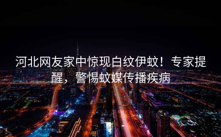 河北網(wǎng)友家中驚現白紋伊蚊！專(zhuān)家提醒，警惕蚊媒傳播疾病