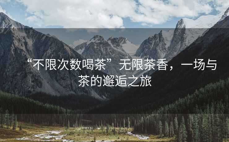 “不限次數喝茶”無(wú)限茶香，一場(chǎng)與茶的邂逅之旅