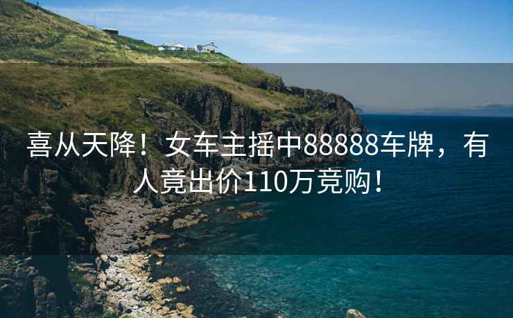 喜從天降！女車(chē)主搖中88888車(chē)牌，有人竟出價(jià)110萬(wàn)競購！