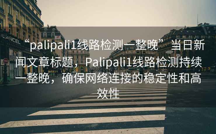“palipali1線(xiàn)路檢測一整晚”當日新聞文章標題，Palipali1線(xiàn)路檢測持續一整晚，確保網(wǎng)絡(luò )連接的穩定性和高效性