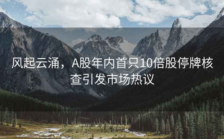 風(fēng)起云涌，A股年內首只10倍股停牌核查引發(fā)市場(chǎng)熱議